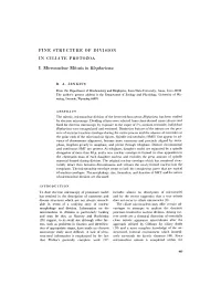 Fine Structure of Division in Ciliate Protozoa I