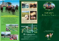 Niigata Racecourse Area Guide