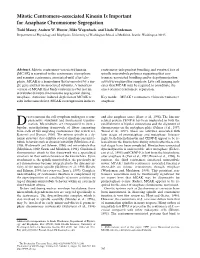 Mitotic Centromere–Associated Kinesin Is Important for Anaphase Chromosome Segregation Todd Maney, Andrew W