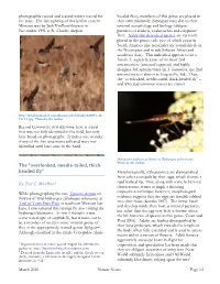 The “Overlooked, Needle-Tailed, Thick- Headed Fly” Morphologically, Stylogastrines Are Distinguished from Other Conopids by Their Eggs, Which Feature a by Ted C