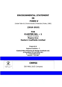 Environmental Statement in Form-V Cluster No