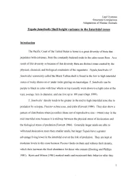 Tezula Funebralis Shell Height Variance in the Intertidal Zones