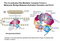 The Co-Activator-Like Mediator Complex Forms a Molecular Bridge Between Activation Domains and Pol II