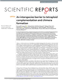 An Interspecies Barrier to Tetraploid Complementation and Chimera Formation