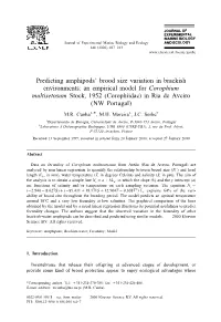 Predicting Amphipods' Brood Size Variation in Brackish Environments