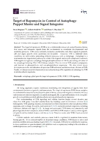 Target of Rapamycin in Control of Autophagy: Puppet Master and Signal Integrator