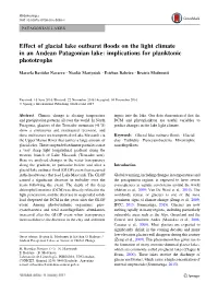 Effect of Glacial Lake Outburst Floods on the Light Climate in an Andean