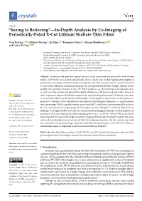 In-Depth Analysis by Co-Imaging of Periodically-Poled X-Cut Lithium Niobate Thin Films