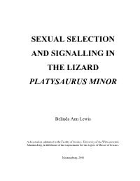 Sexual Selection and Signalling in the Lizard Platysaurus Minor