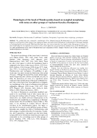 Homologies of the Head of Membracoidea Based on Nymphal Morphology with Notes on Other Groups of Auchenorrhyncha (Hemiptera)
