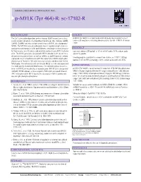 P-MYLK (Tyr 464)-R: Sc-17182-R