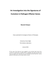 Table of Contents