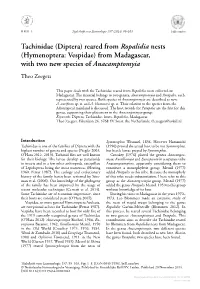 Tachinidae (Diptera) Reared from Ropalidia Nests (Hymenoptera: Vespidae) from Madagascar, with Two New Species of Anacamptomyia Theo Zeegers