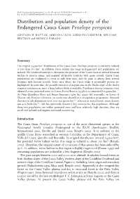 Distribution and Population Density of the Endangered Cauca Guan Penelope Perspicax