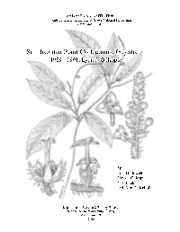 Gillespie Collections Report