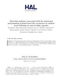 Molecular Pathways Associated with the Nutritional Programming of Plant-Based Diet Acceptance in Rainbow Trout Following an Early Feeding Exposure Mukundh N