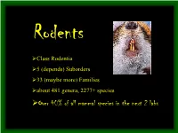 Over 40% of All Mammal Species in the Next 2 Labs