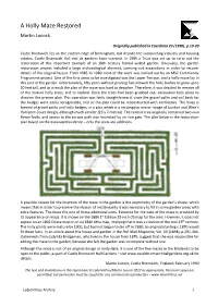 A Holly Maze Restored Martin Locock