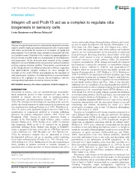 Integrin Α8 and Pcdh15 Act As a Complex to Regulate Cilia Biogenesis in Sensory Cells Linda Goodman and Marisa Zallocchi*