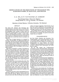 Observations on the Behaviour of the Scarlet Ibis, Eudocimus Ruber, In