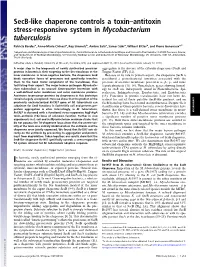 Secb-Like Chaperone Controls a Toxin–Antitoxin Stress-Responsive System in Mycobacterium Tuberculosis