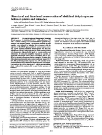 Structural and Functional Conservation of Histidinol Dehydrogenase