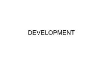 Development Development