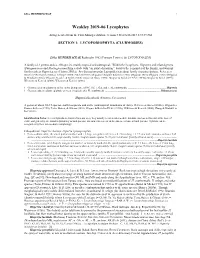Weakley 2019-06 Lycophytes