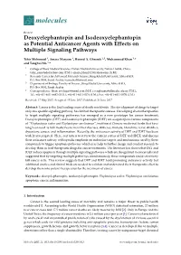 Deoxyelephantopin and Isodeoxyelephantopin As Potential Anticancer Agents with Effects on Multiple Signaling Pathways