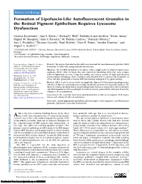 Formation of Lipofuscin-Like Autofluorescent Granules in the Retinal Pigment Epithelium Requires Lysosome Dysfunction