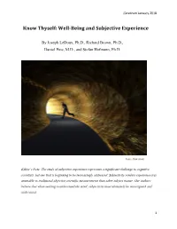 Know Thyself: Well-Being and Subjective Experience