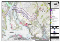 View Preliminary Assessment Report Appendix C