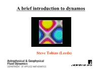 A Brief Introduction to Dynamos