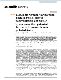Culturable Nitrogen-Transforming Bacteria from Sequential