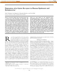 Expression of Μ-Opiate Receptor in Human Epidermis and Keratinocytes