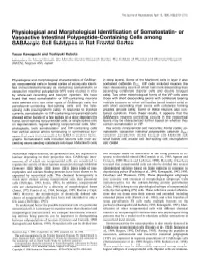 Or Vasoactive Intestinal Polypeptide-Containing Cells Among Gabaergic Cell Subtypes in Rat Frontal Cortex
