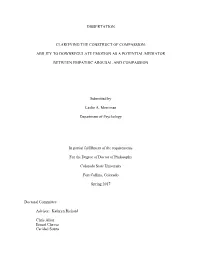Dissertation Clarifying the Construct of Compassion