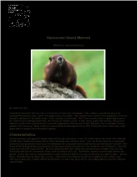 Northwestwildlife.Com Species Reports