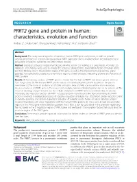 PRRT2 Gene and Protein in Human: Characteristics, Evolution and Function Yinchao Li1, Shuda Chen1, Chengzhe Wang1, Peiling Wang1,Xili1 and Liemin Zhou1,2*