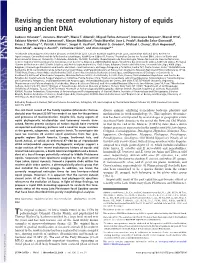 Revising the Recent Evolutionary History of Equids Using Ancient DNA