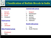 Classification of Buffalo Breeds in India