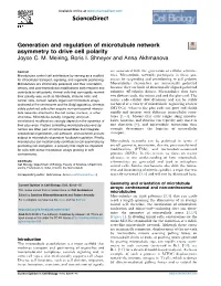 Generation and Regulation of Microtubule Network Asymmetry to Drive Cell Polarity Joyce C