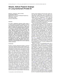 Simple, Helical Peptoid Analogs of Lung Surfactant Protein B