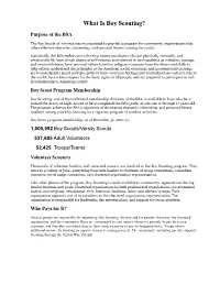 What Is Boy Scouting?