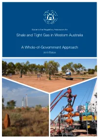 Shale and Tight Gas Framework