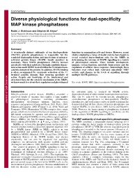Diverse Physiological Functions for Dual-Specificity MAP Kinase