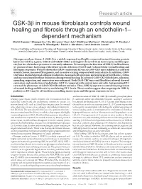 GSK-3Β in Mouse Fibroblasts Controls Wound