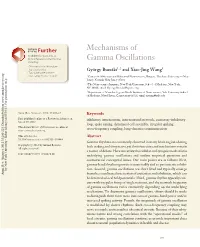Mechanisms of Gamma Oscillations