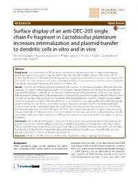 Surface Display of an Anti-DEC-205 Single Chain Fv Fragment in Lactobacillus Plantarum Increases Internalization and Plasmid