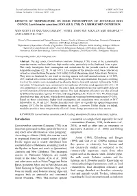 Introduction Laevistrombus Canarium (Linnaeus 1758)